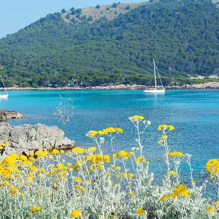 酒店 Hsm Regana - Adults Only