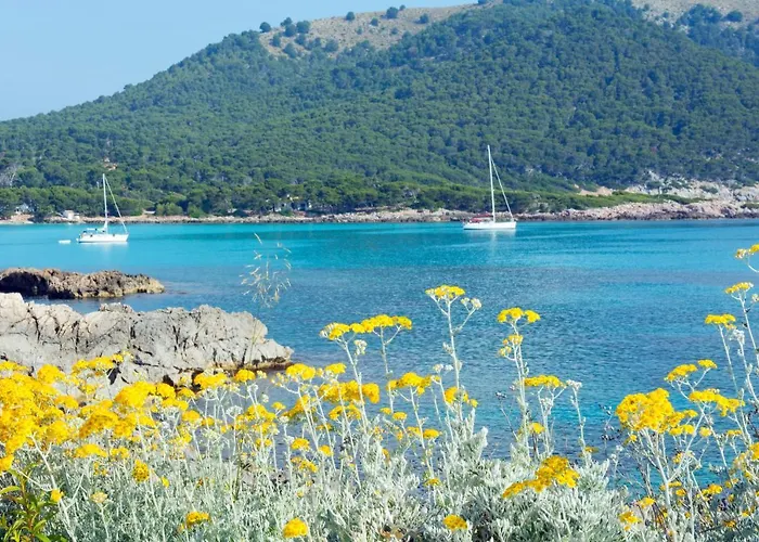 Hotell Hsm Regana - Adults Only