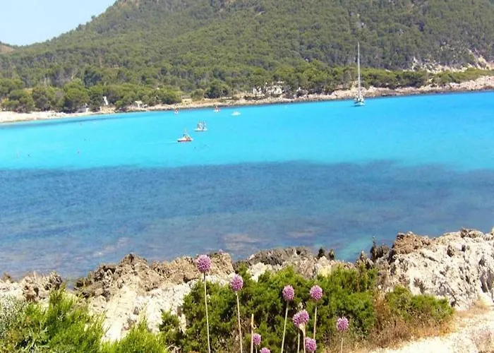 Hsm Regana - Adults Only 4*